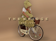 The Bridge