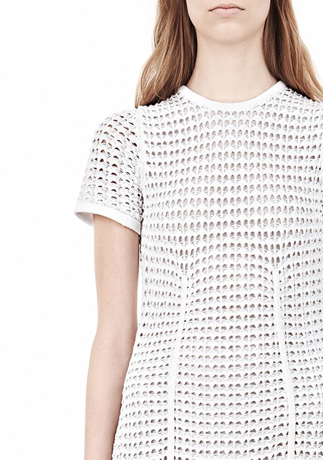 alexander wang tee dress