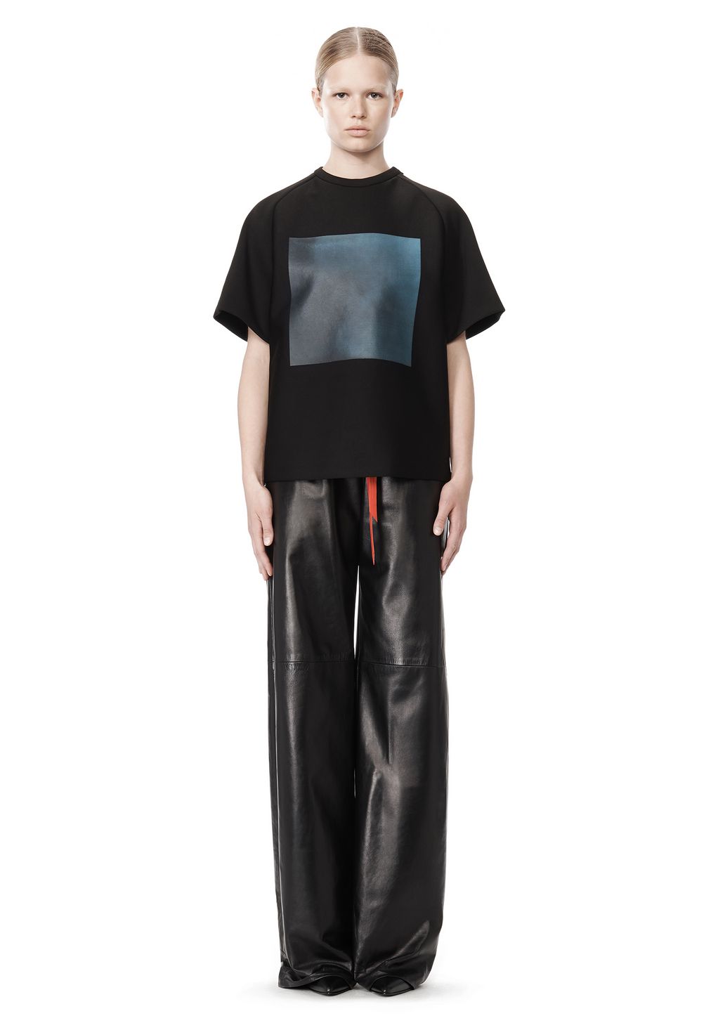 alexander wang pants