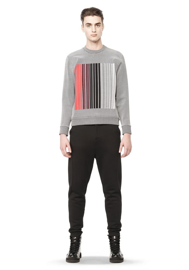 alexander wang jogging pants