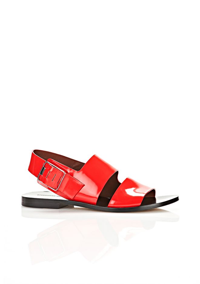 alexander wang sandals flat