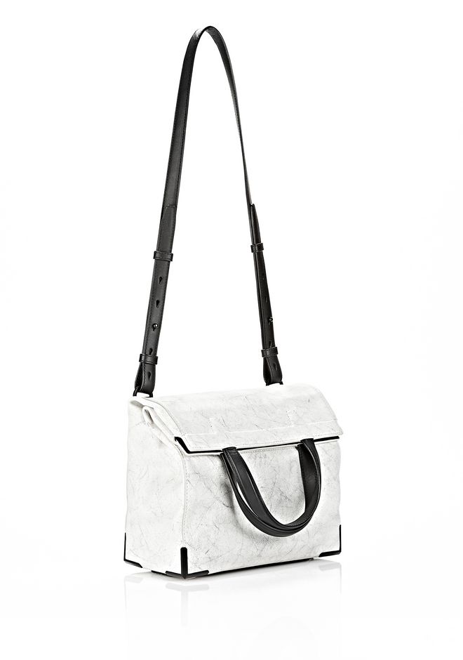 alexander wang lunch box bag