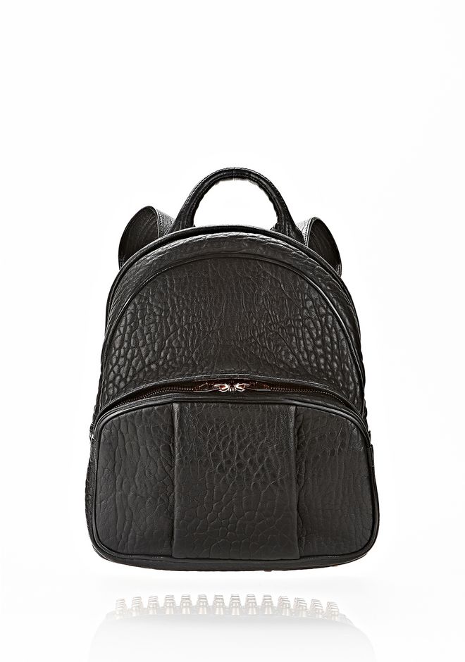 Alexander Dumbo Backpack In Black With Rose Gold Alexander Dumbo Backpack In Black With Rose Gold 12 N F