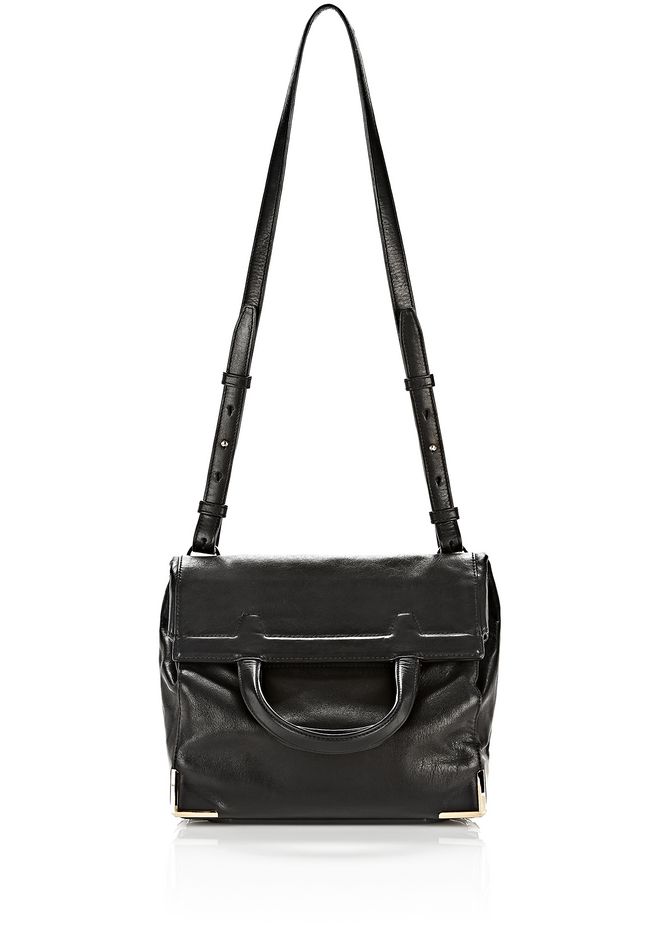 alexander wang lunch box bag