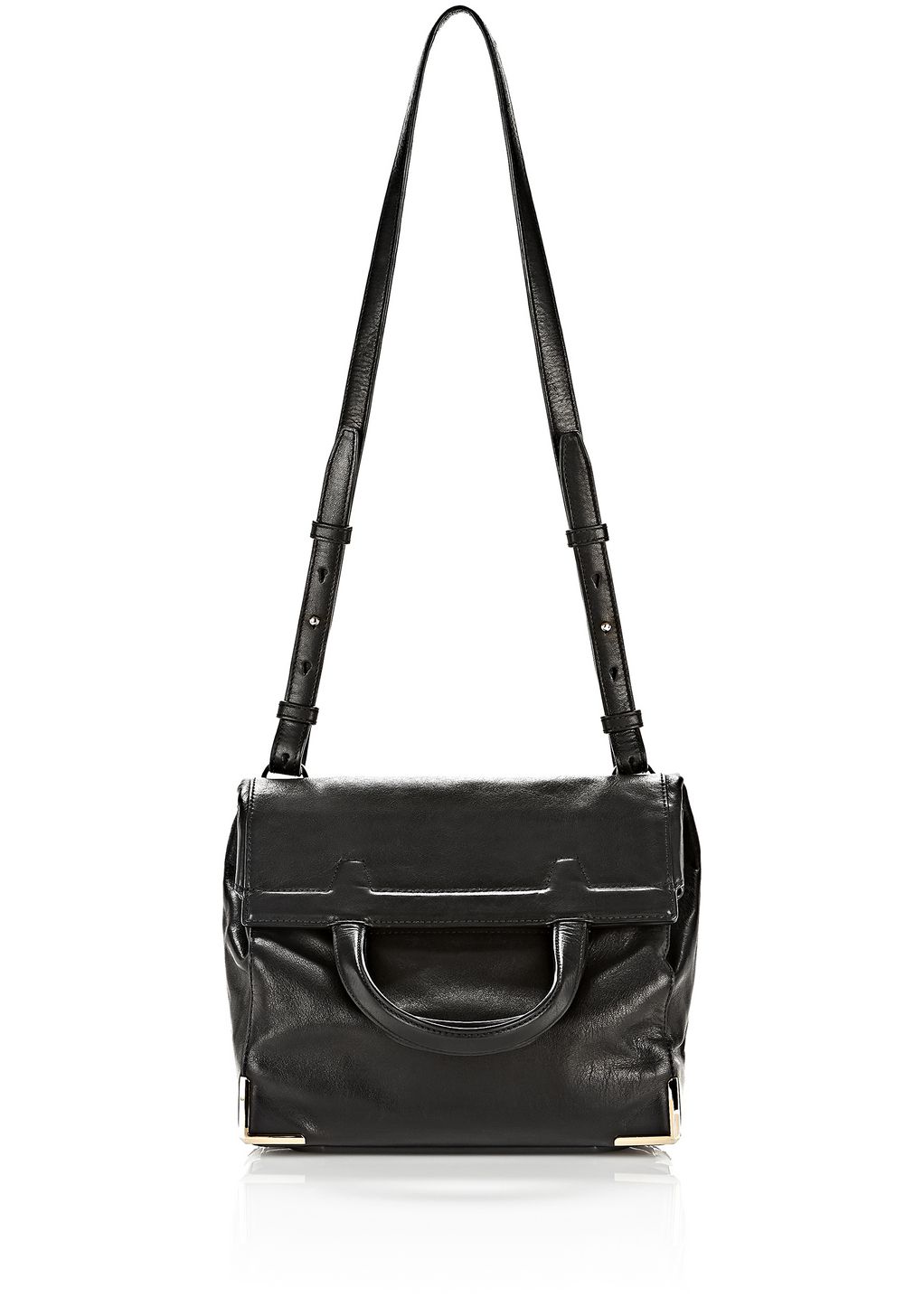 alexander wang lunch box bag